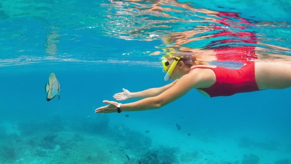 Tips Pertama Kali Snorkeling untuk Pemula